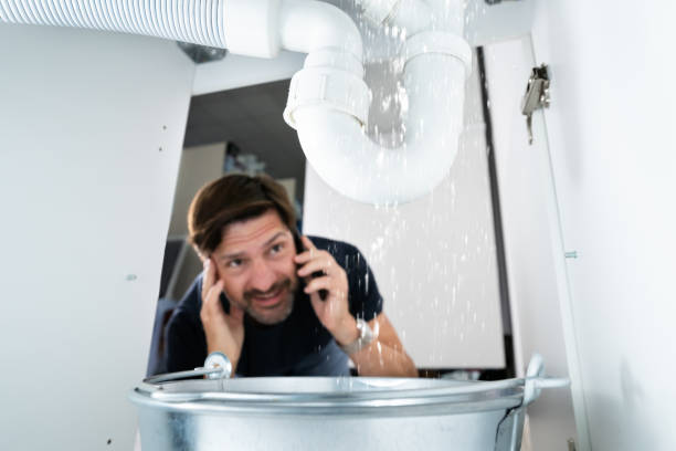 Best Water Softener Installation  in Fayette, MS