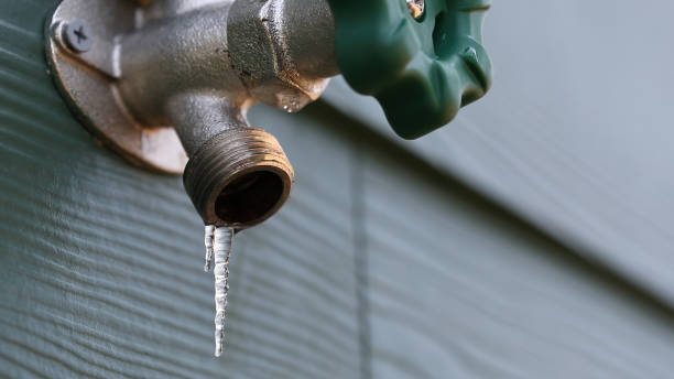 Best Commercial Plumbing Services  in Fayette, MS