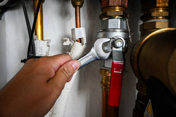 Best Plumbing Inspection Services  in Fayette, MS